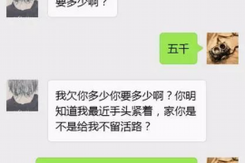 红河专业讨债公司有哪些核心服务？